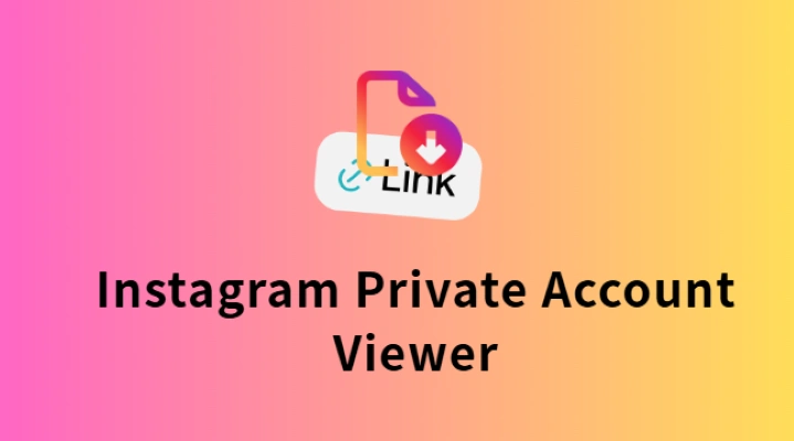 What Is an Instagram Private Account Viewer?