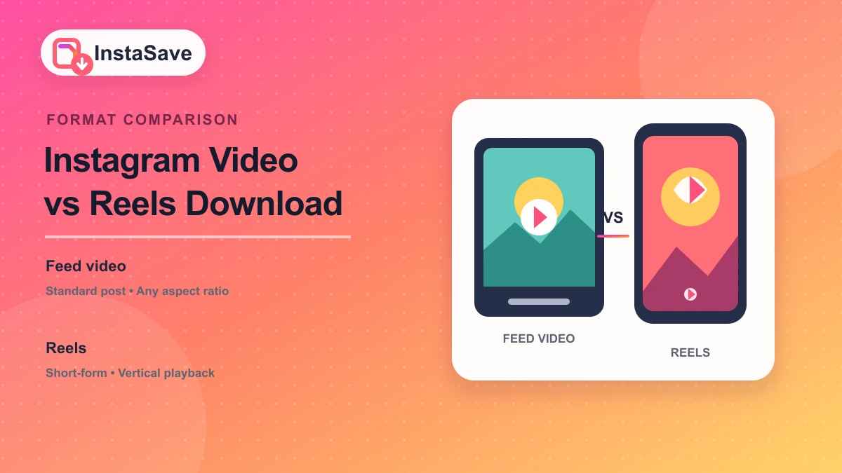 Instagram Video vs Reels Download: What’s the Difference? cover image